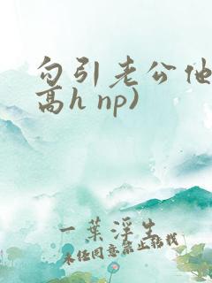 勾引老公他哥(高h np)