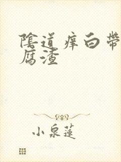 阴道痒白带呈豆腐渣