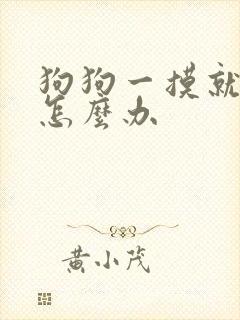 狗狗一摸就漏尿怎么办