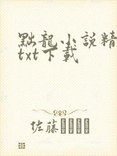 黜龙小说精校版txt下载