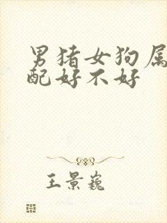 男猪女狗属相婚配好不好