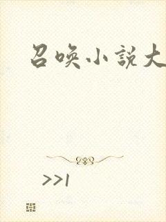 召唤小说大全