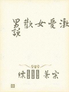 男欢女爱激情小说