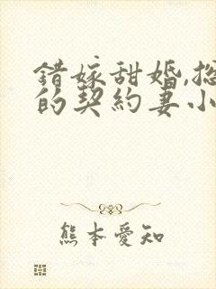 错嫁甜婚,总裁的契约妻小说