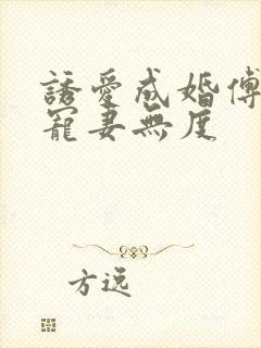 诱爱成婚傅先生宠妻无度