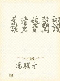 叶清婉楚翊辰小说免费阅读最新章节