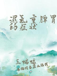 湿气重脾胃不好的症状