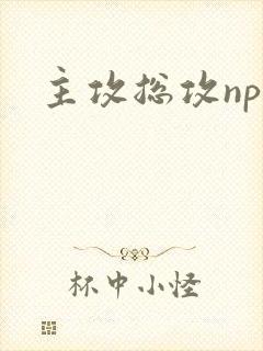 主攻总攻np