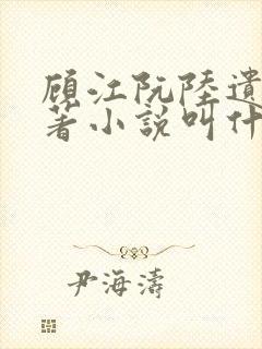 顾江阮陆遗的原著小说叫什么