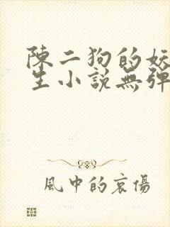 陈二狗的妖孽人生小说无弹窗