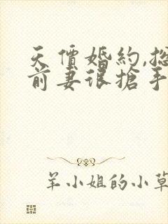 天价婚约,总裁前妻很抢手