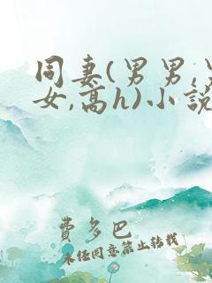 同妻(男男,男女,高h)小说