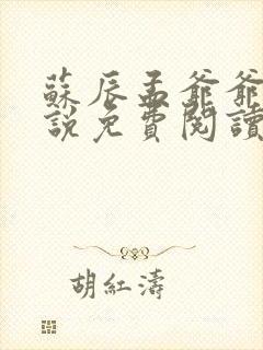 苏辰孟爷爷的小说免费阅读