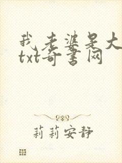 我老婆是大明星txt奇书网