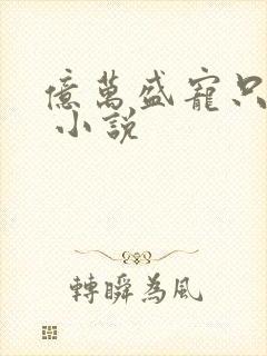 亿万盛宠只为你 小说