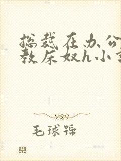 总裁在办公室调教床奴h小说