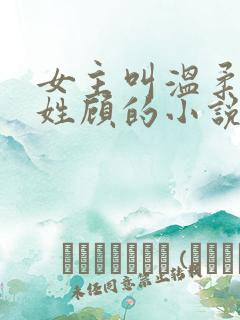 女主叫温柔男主姓顾的小说