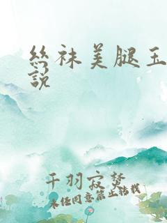 丝袜美腿玉足小说