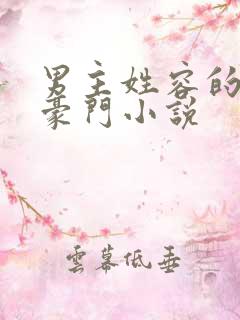 男主姓容的现代豪门小说