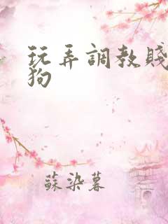 玩弄调教贱货母狗