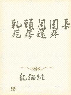 乳头周围长了个疙瘩还疼