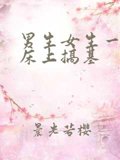 男生女生一起在床上搞基