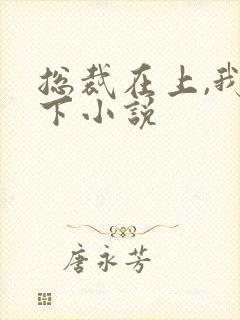总裁在上,我在下小说