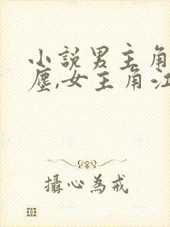 小说男主角沈卿尘,女主角江稚免费阅读