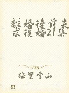 离婚后前夫哭着求复婚21集在线观看