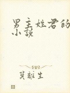 男主姓君的现代小说