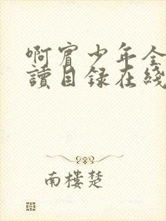 啊宾少年全文阅读目录在线