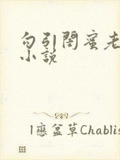 勾引闺蜜老公的小说