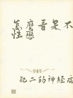 怎么看是不是双性恋