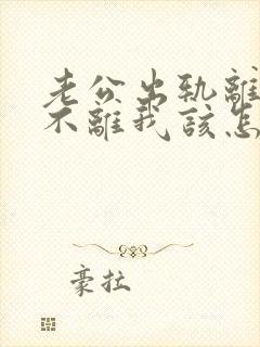 老公出轨离婚他不离我该怎么办