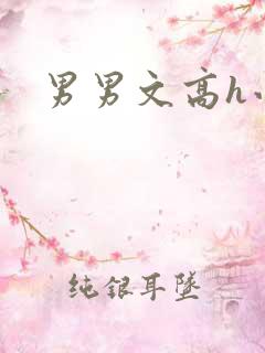 男男文高h小说