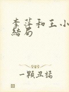 李萍和王小毛的结局