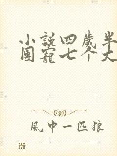 小说四岁半的我团宠七个大佬哥哥