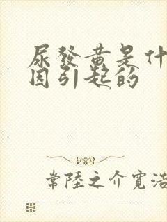 尿发黄是什么原因引起的