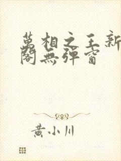 万相之王新笔趣阁无弹窗