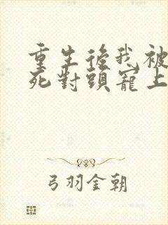 重生后我被渣男死对头宠上天短剧
