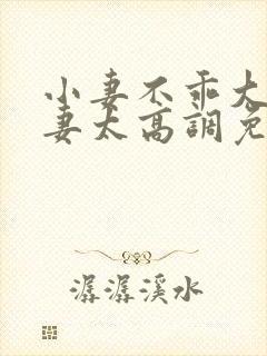 小妻不乖大佬宠妻太高调免费阅读