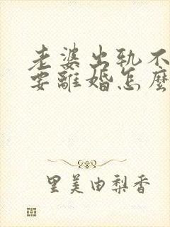 老婆出轨不回家要离婚怎么挽回