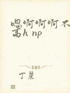 嗯啊啊啊不要啊高h np