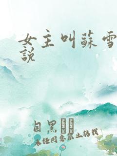 女主叫苏雪的小说