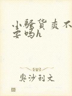 小骚货爽不爽想要吗h