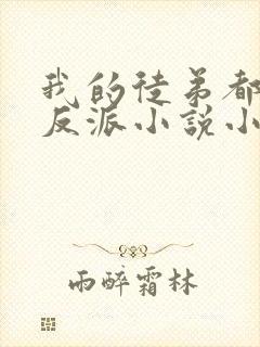 我的徒弟都是大反派小说小说