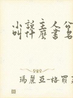 小说主人公杨洛叫什么书名