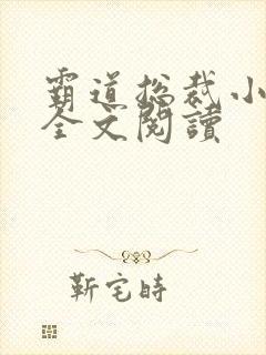 霸道总裁小娇妻全文阅读