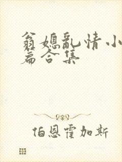 翁媳乱情小说短篇合集