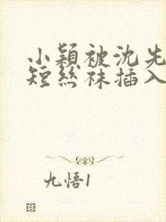 小颖被沈先生套短丝袜插入小说